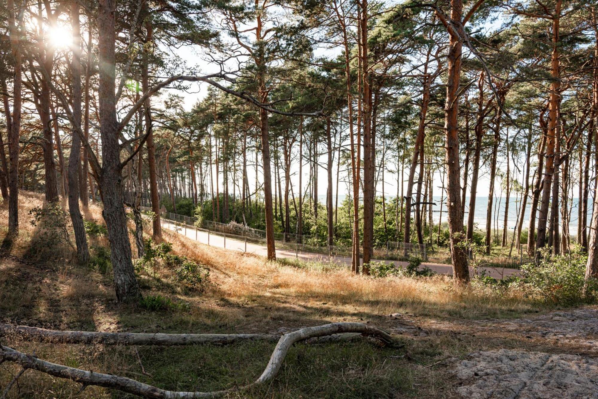 Neptuno Resort&Spa Dźwirzyno Esterno foto